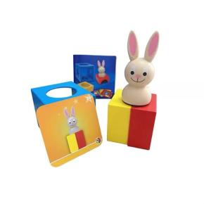 Educational Bunny Baby Board Game 60 Challenge with Solution Game IQ Training 3D Puzzle Toys for Children